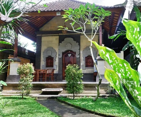 招待所 Bunut Moding